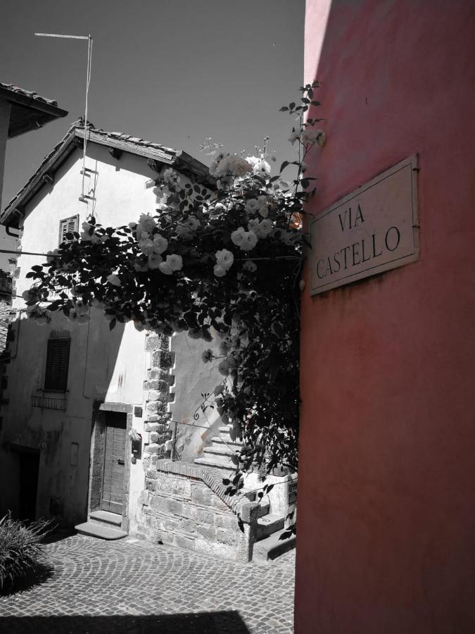 La Casetta Di Nonna Ida Trevignano Romano Exterior photo